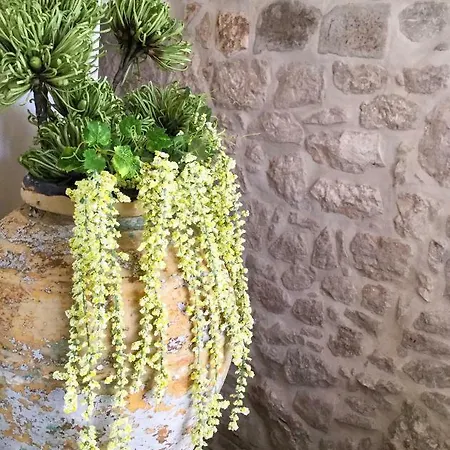 Casa Monte